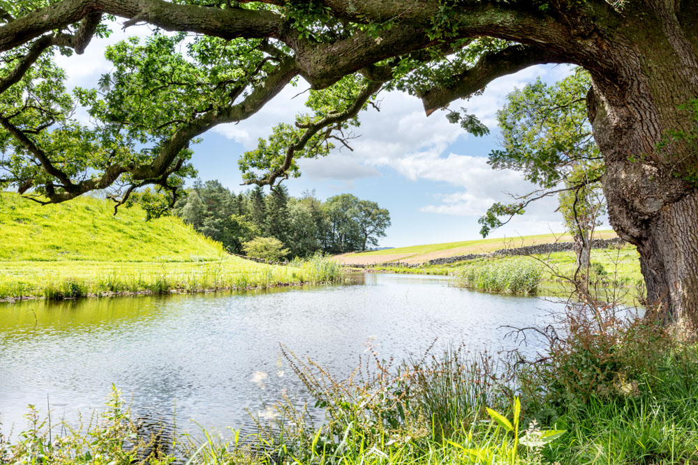 Lakes, Lakes & Ponds, Lakes Rivers & Ponds